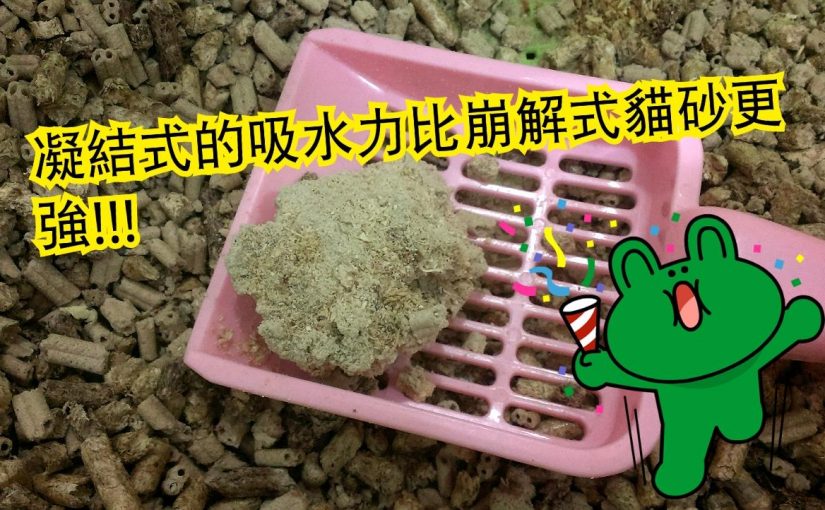 【使用小茜豆腐砂，除臭用品掰掰】 